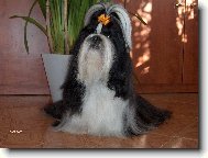 Bude to trvat je�t� dlouho?