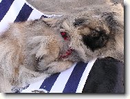 Ayme na pl�i v It�lii