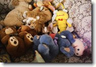 Ply��k Bonif�c