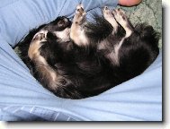 Tepeln� akumul�tor 2