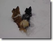 Sn�hov� raz�c� �t�t