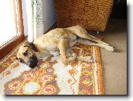 Odpo�inek po t�k� pr�ci