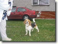 Moc kr�sn� B�gl�k