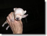 zat�m se vejdu do dlan�...