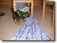 Nejd��ve prozkoum�m svou novou hra�ku... \"a je to tunel\"