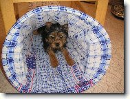 Tohle bude z�ejm� vchod:-)