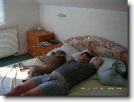 Arny od Voka�ovsk�ho rybn�ka