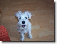 U� m�m 3,5 m�s�ce-�sm�v pros�m