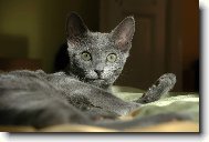 Zah�jen� odpo�inku