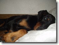 Jsem stra�n� unaven�