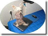 Jeanny mi br�n� v pr�ci s PC