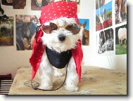 Mike�ek ze �ukova