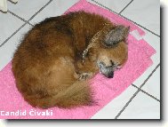 Jeden�ctilet� Kub�k