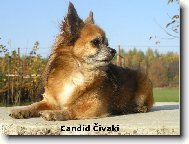 Desetilet� Kub�k