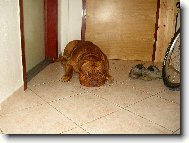 Dag, le��c�, sp�c�