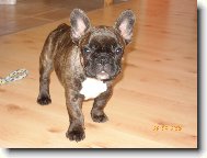 Bruce Wilis od St��br��ku