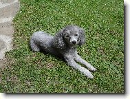 Na�e sle�na B�ra