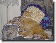 n�kdo m� vyhodil - jsem evropan????