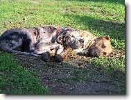 IGOREK s k�mo�em