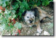 Tady m� nikdo nenajde....