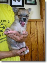 S��������r