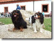 Brian a Reny, ve spole�nosti jsme jako doma