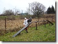 Kerry - na cvi��ku