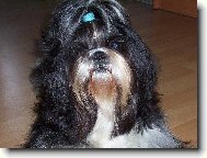 Co m� otravuje�, kdy� se koch�m