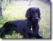 Andy v zahr.-m�j FCR