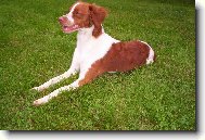 fena z chovn� stanice Z Lukovensk�ch kout�