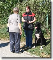 Dante na zkou�k�ch SchH/VPG