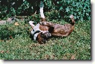 Slune�n� l�ze�