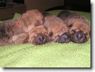 �arpej� miminka - 1 t�den