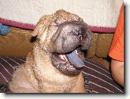 Barney - 7 t�dn�