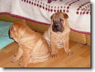 8.t�den - za chv�li p�jdeme do sv�ta