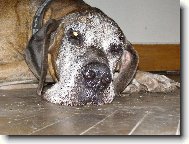 Caky u Rychl�ho ��bla