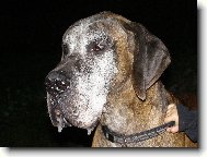 Caky u Rychl�ho ��bla