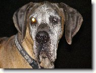 Caky u Rychl�ho ��bla