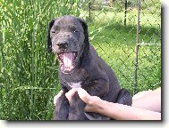 Um�m se hezky sm�t!