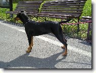 N�kdy se n�m povede se kr�sn� vystavovat, ale to jen kdy� nejsme na v�stav�