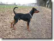 Rot - cerROT Danilo �kub�nek