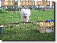 Andy z �erven�ch roklin