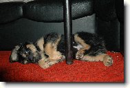 Takhle se nejl�pe spink�....