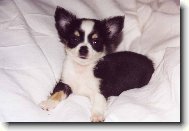 Emilka David a Goli� 5 t�dn�