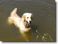 Plav��ek Am�ek:0))