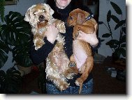 Moje k�mo�ka Conny