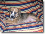 Nov� �lenka rodiny