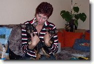 J�, Dan a kamar�d