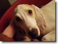 fenka-5.m�s�c�