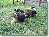 ...j� na br�chu,br�cha na mn�...